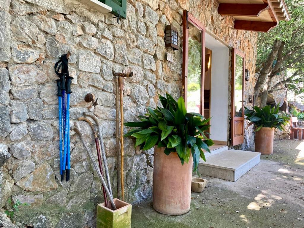 Fabulous Rustic Villa Set On Mountain With Unique Views Valldemossa  Eksteriør billede