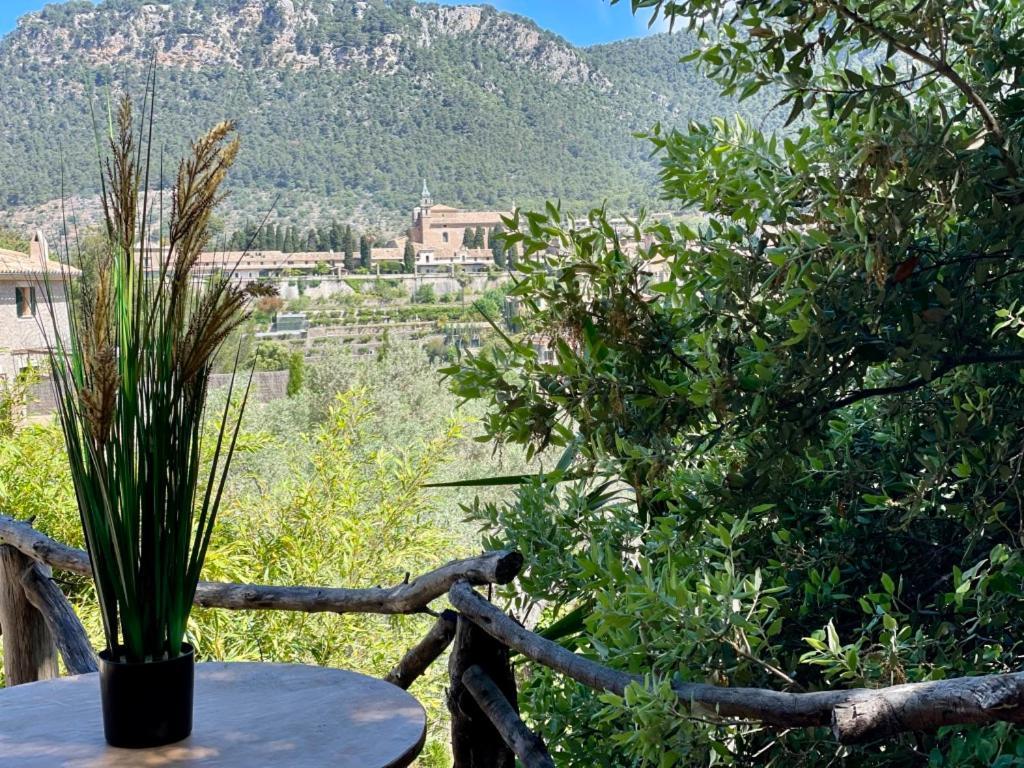 Fabulous Rustic Villa Set On Mountain With Unique Views Valldemossa  Eksteriør billede